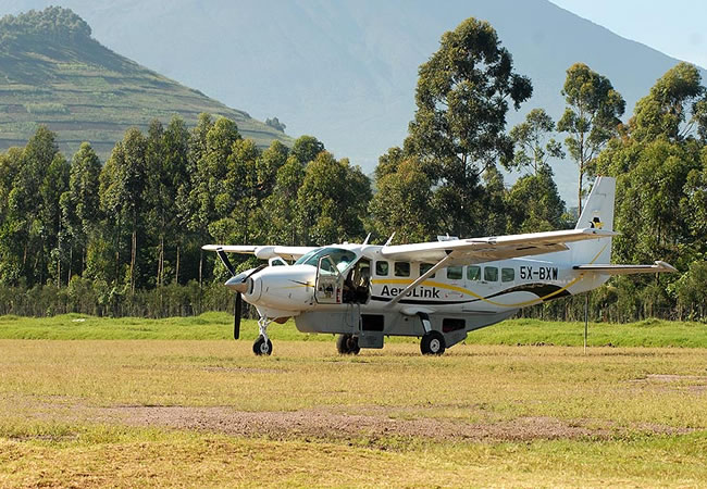 congo gorilla tours