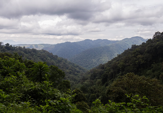 kigali gorilla tour