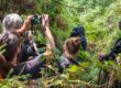 Gorilla Trekking in Uganda